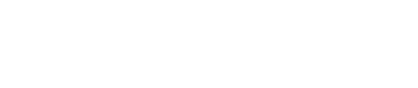 Momentum